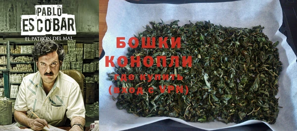 дмт Бородино