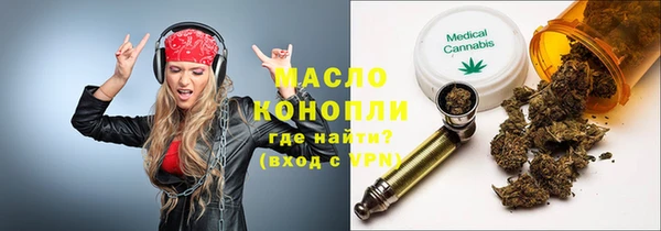 дмт Бородино