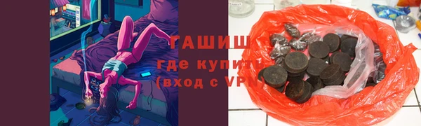 дмт Бородино