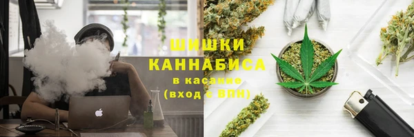 дмт Бородино