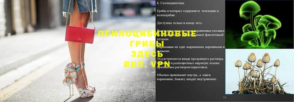 дмт Бородино