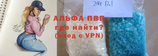 дмт Бородино