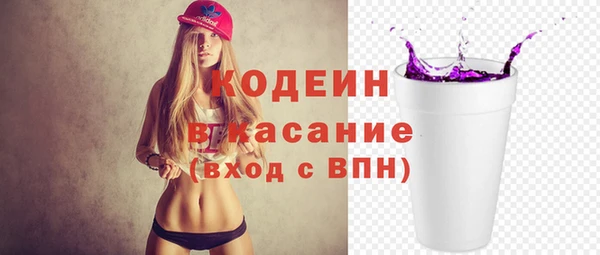 дмт Бородино