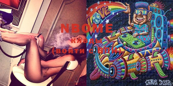дмт Бородино