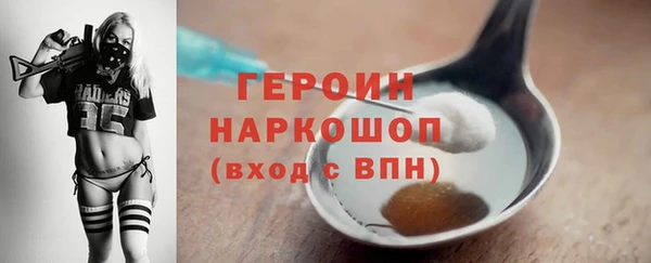 дмт Бородино