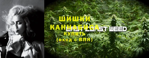 дмт Бородино