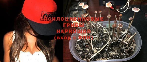 дмт Бородино