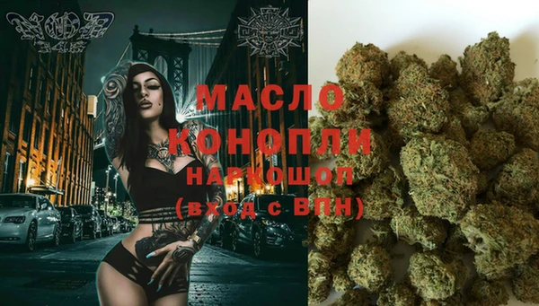 дмт Бородино