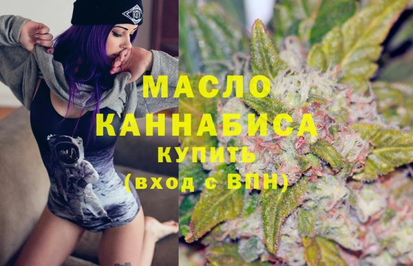 дмт Бородино