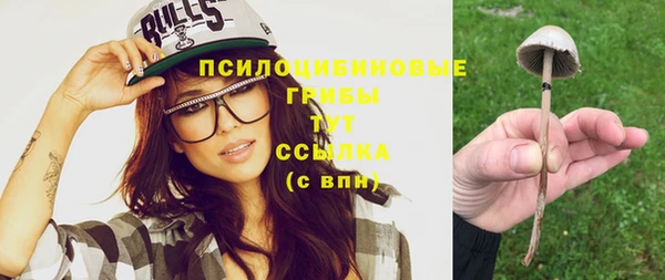 дмт Бородино