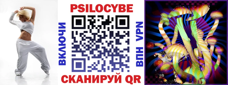 Псилоцибиновые грибы Psilocybe  Новороссийск 